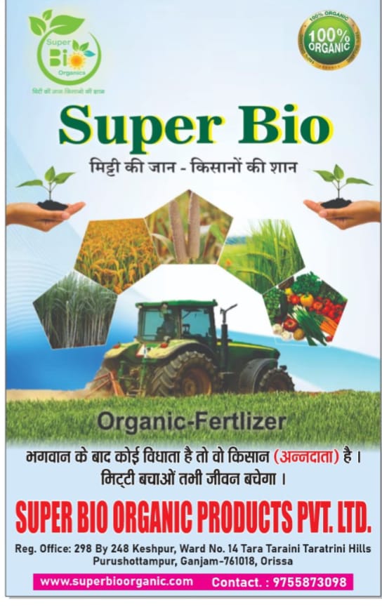 Freshly grown tomatoes